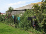SX06912 Wetsuits drying on line.jpg